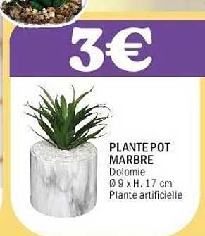 PLANTE POT MARBRE