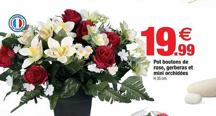 Pot boutons de rose, gerberas et mini orchidées