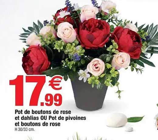 Pot de boutons de rose et dahlias OU Pot de pivoines et boutons de rose
