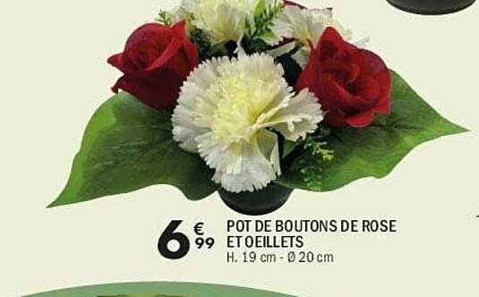 Pot de boutons de rose et œillets
