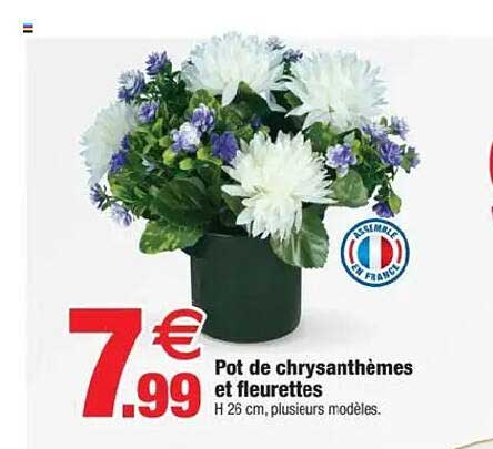 Pot de chrysanthèmes et fleurettes