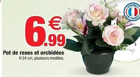 Pot de roses et orchidées