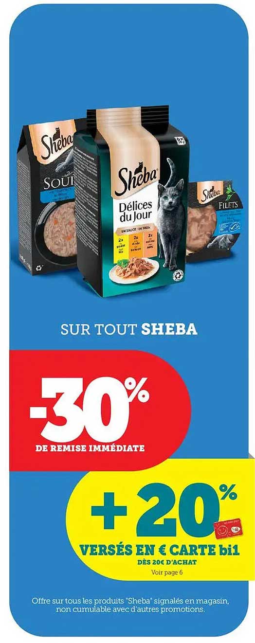 SUR TOUT SHEBA