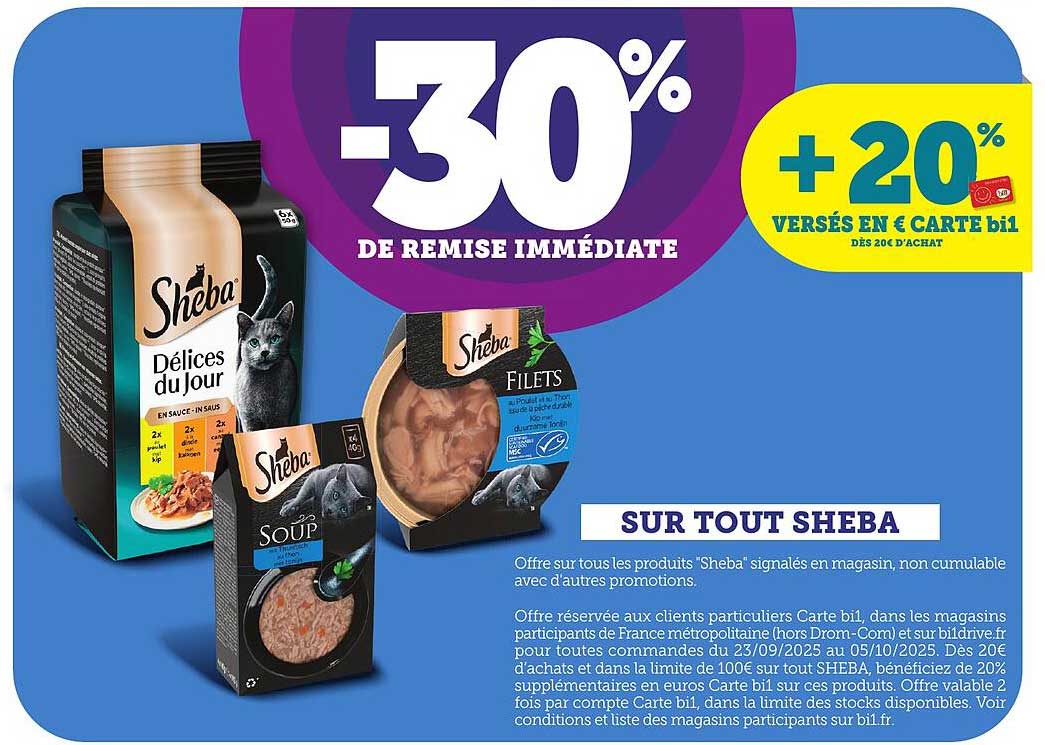 SUR TOUT SHEBA
