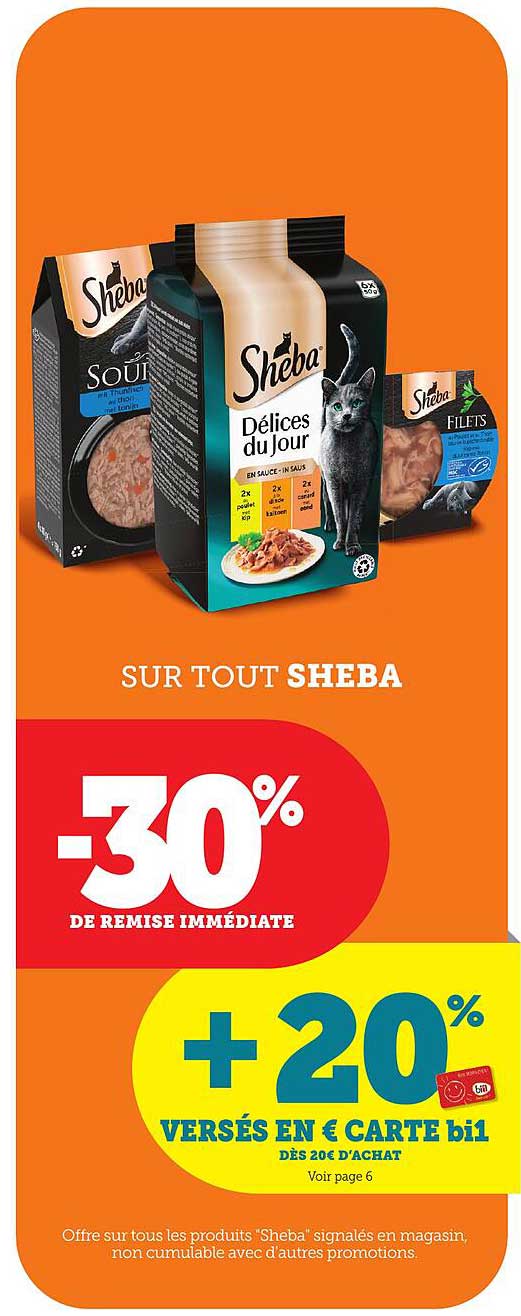 SUR TOUT SHEBA