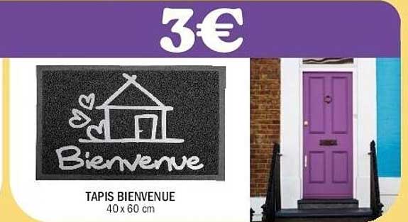 TAPIS BIENVENUE