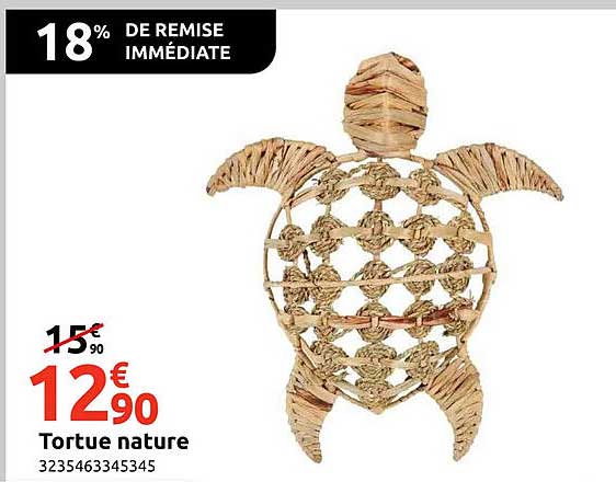Tortue nature