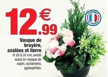 Vasque de bruyère, azalées et lierre