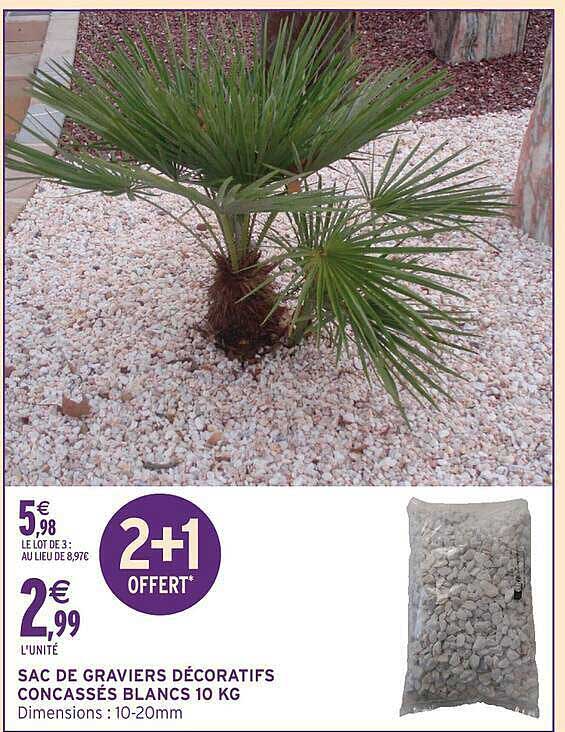 2+1 OFFERT