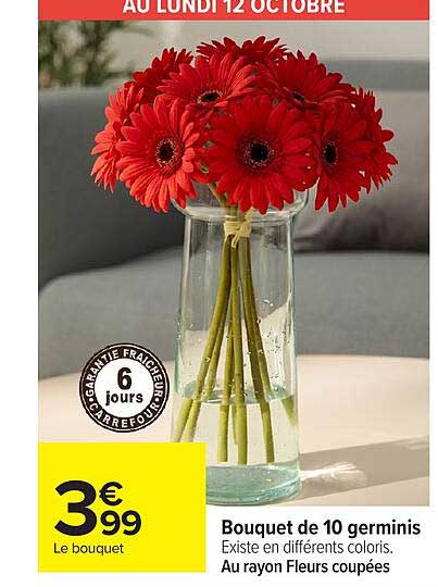 Bouquet de 10 germinis