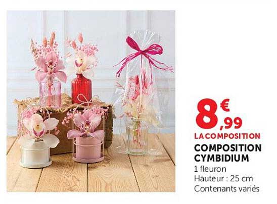 COMPOSITION CYMBIDIUM