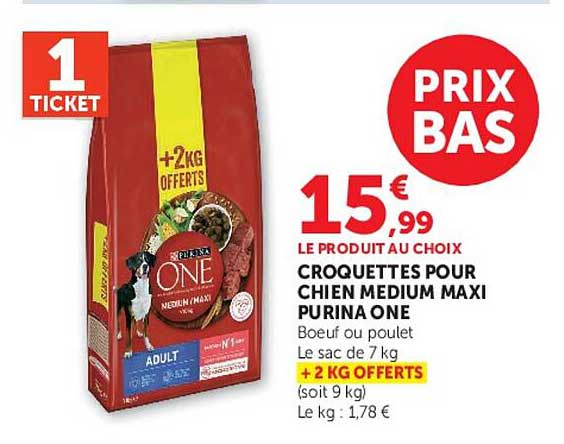 CROQUETTES POUR CHIEN MEDIUM MAXI PURINA ONE
