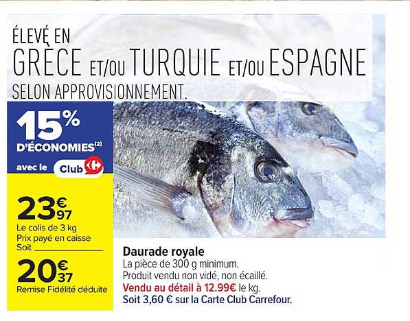 Daurade royale
