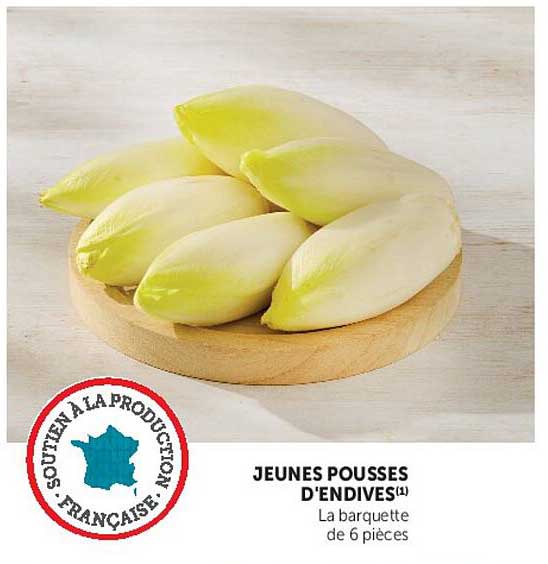 JEUNES POUSSES D'ENDIVES