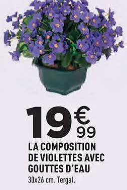 LA COMPOSITION DE VIOLETTES AVEC GOUTTES D'EAU