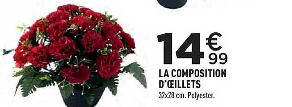 LA COMPOSITION D’ŒILLETS