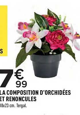 LA COMPOSITION D'ORCHIDÉES ET RENONCULES