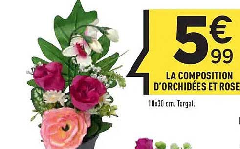 LA COMPOSITION D'ORCHIDÉES ET ROSE