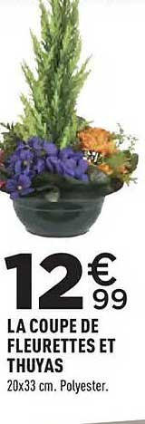 LA COUPE DE FLEURETTES ET THUYAS