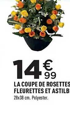 LA COUPE DE ROSETTES FLEURETTES ET ASTILB
