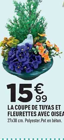 LA COUPE DE TUYAS ET FLEURETTES AVEC OISEA