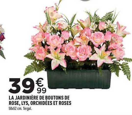 LA JARDINIÈRE DE BOUTONS DE ROSE, LYS, ORCHIDÉES ET ROSES