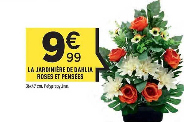 LA JARDINIÈRE DE DAHLIA ROSES ET PENSÉES