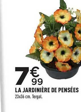 LA JARDINIÈRE DE PENSÉES