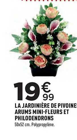 LA JARDINIÈRE DE PIVOINE ARUMS MINI-FLEURS ET PHILODENDRONS