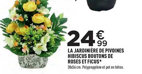 LA JARDINIÈRE DE PIVOINES HIBISCUS BOUTONS DE ROSES ET FICUS*