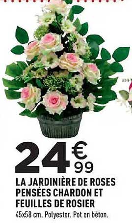 LA JARDINIÈRE DE ROSES PENSÉES CHARDON ET FEUILLES DE ROSIER