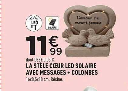 LA STÈLE CŒUR LED SOLAIRE AVEC MESSAGES + COLOMBES