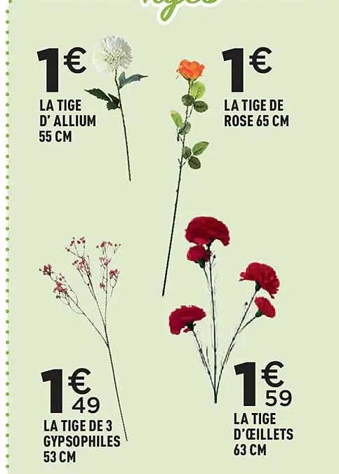 LA TIGE D' ALLIUM 55 CM