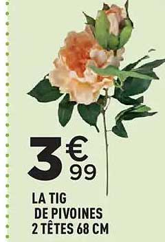 LA TIGE DE PIVOINES 2 TÊTES 68 CM