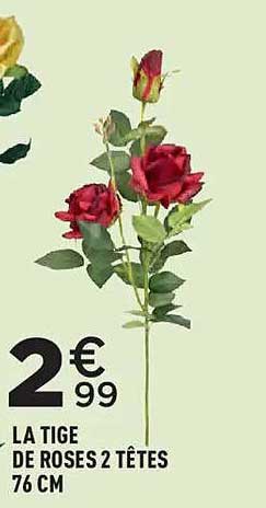 LA TIGE DE ROSES 2 TÊTES 76 CM