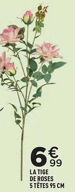 LA TIGE DE ROSES 5 TÊTES 95 CM