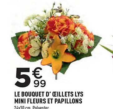 LE BOUQUET D’ ŒILLETS LYS MINI FLEURS ET PAPILLONS