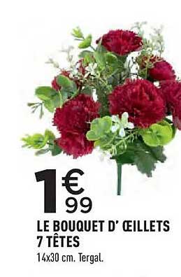 LE BOUQUET D’ŒILLETS 7 TÊTES