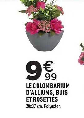 LE COLBARIUM D’ALLIUMS, BUIS ET ROSETTES