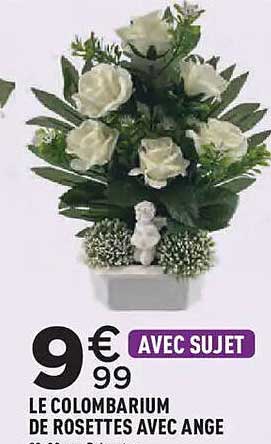 LE COLIBARIUM DE ROSETTES AVEC ANGE
