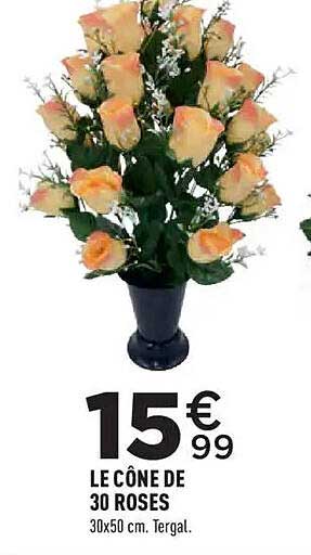 LE CÔNE DE 30 ROSES