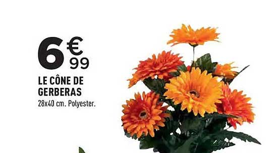 LE CÔNE DE GERBERAS