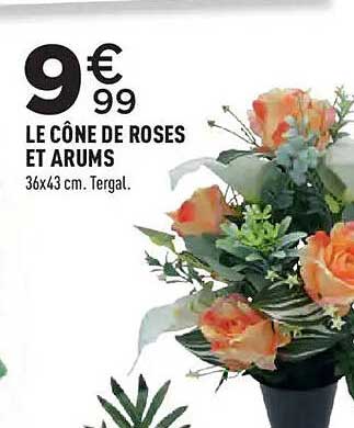 LE CÔNE DE ROSES ET ARUMS