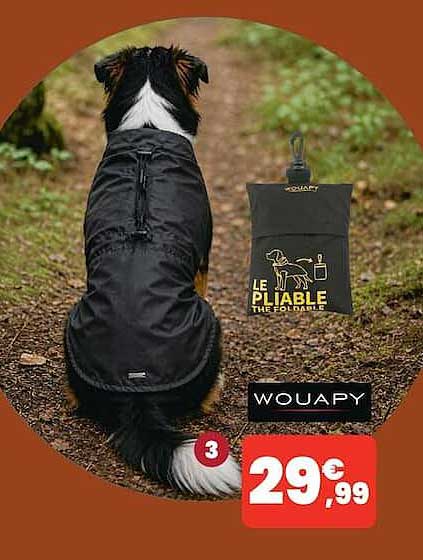 LE PLIABLE THE FOLDABLE