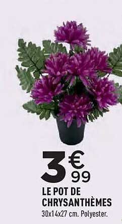 LE POT DE CHRYSANTHÈMES