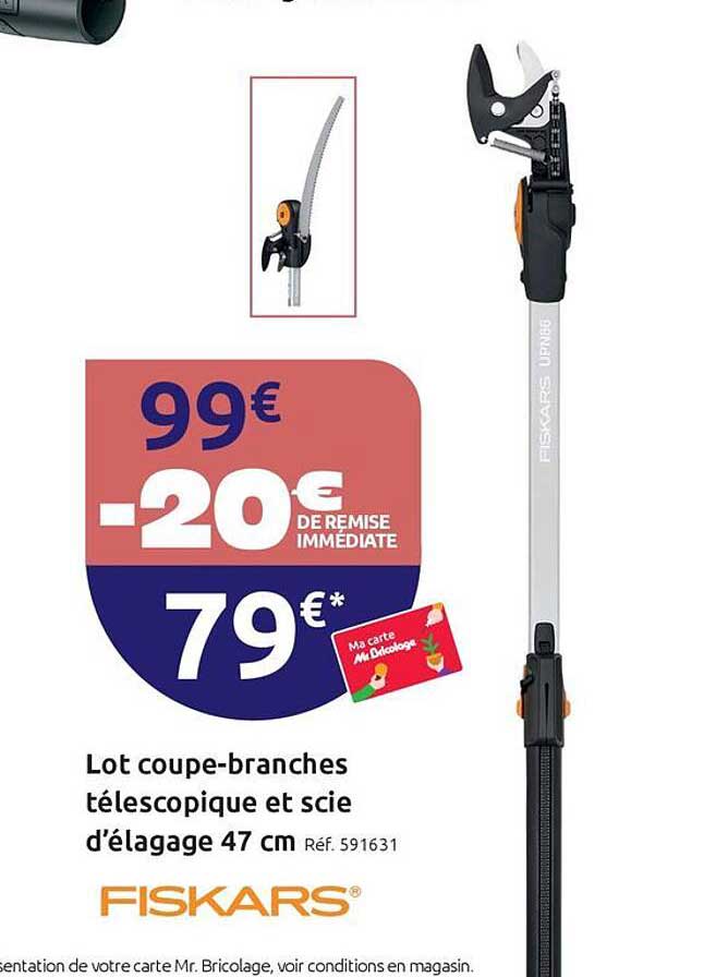 Lot coupe-branches télescopique et scie d’élagage 47 cm