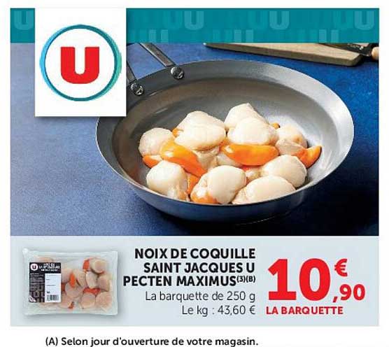 NOIX DE COQUILLE SAINT JACQUES U PECTEN MAXIMUS