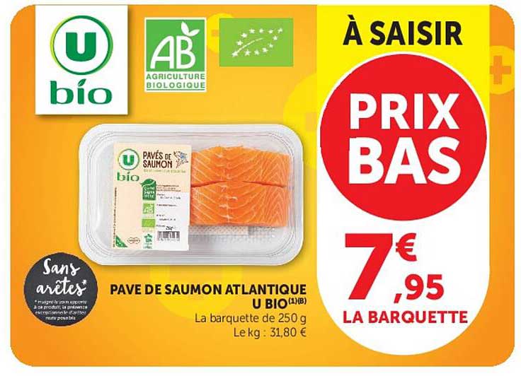 PAVÉ DE SAUMON ATLANTIQUE U BIO