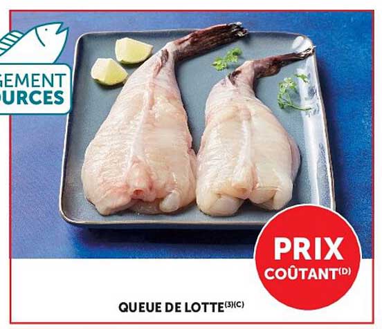 QUEUE DE LOTTE