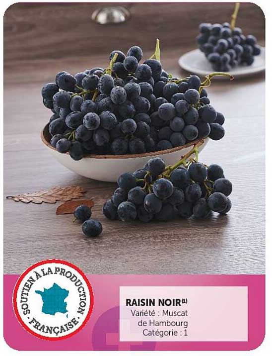 RAISIN NOIR(1) Variété : Muscat de Hambourg Catégorie : 1